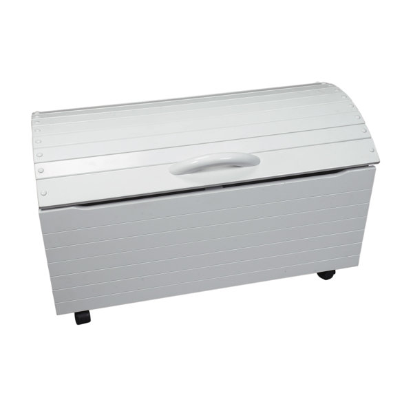 Zoomie Kids Dalrymple Treasure Toy Chest on Casters & Reviews Wayfair